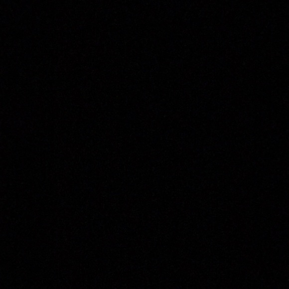 pug_10